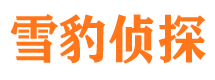 天镇市私人侦探